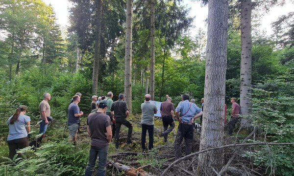 Eine Gruppe von Menschen steht und diskutiert im dichten Wald, umgeben von hohen Bäumen und üppigem Grün. Keine Schilder oder beschriftete Tafeln sind sichtbar.