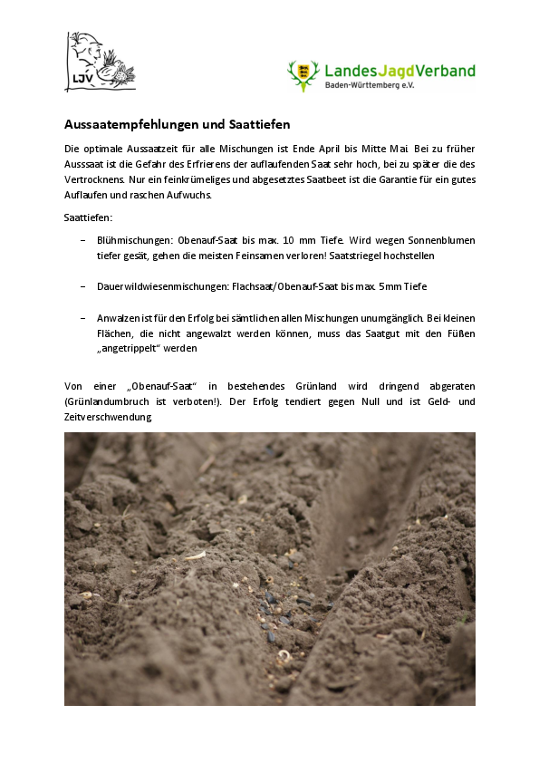 pdf-preview